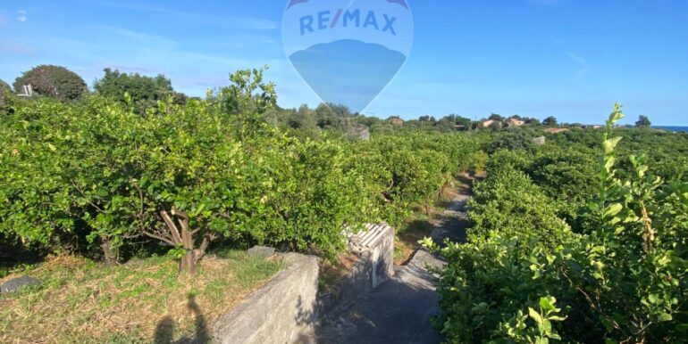 2025092694227-986654-11