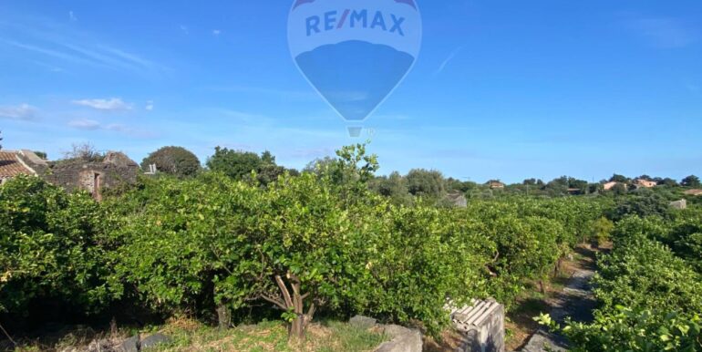 2025092694231-986654-12