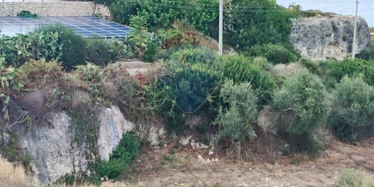 20250928174844-988854-9