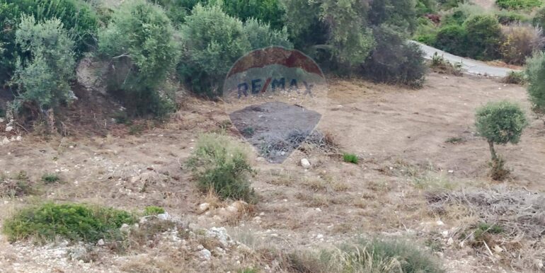 20250928174855-988854-10