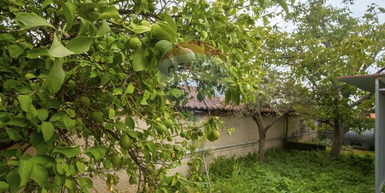 20250929212630-989111-5