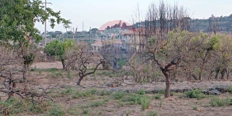 20250930165619-990439-10