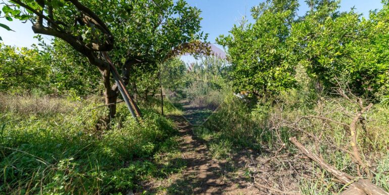 20250930192411-990765-1