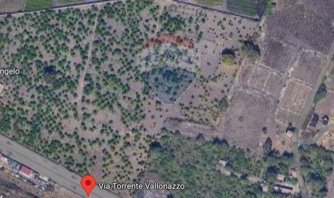 20250930232424-990798-1