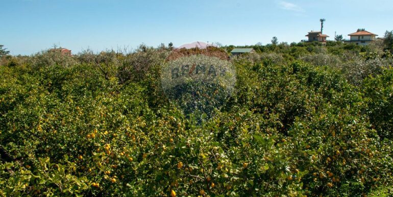 20250930232431-990798-3