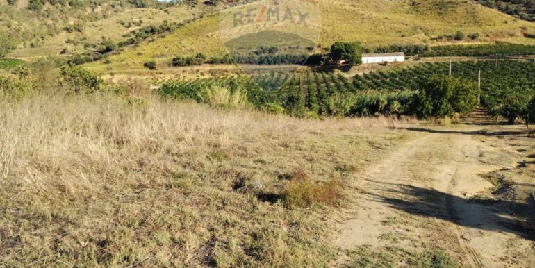 20251001205813-987794-5