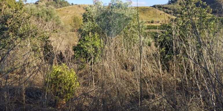 20251001205821-987794-8