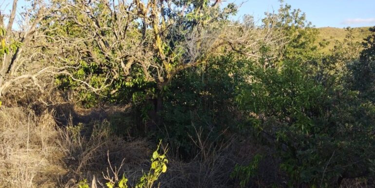 20251001205824-987794-9