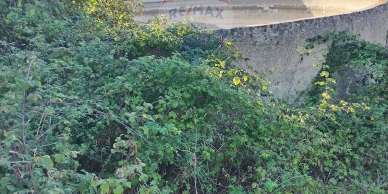 20251001205830-987794-11