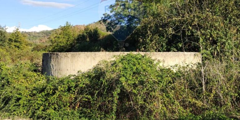 20251001205836-987794-13