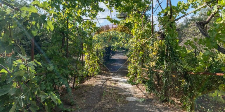 20251006185908-991987-3