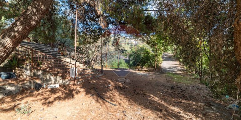 20251006190000-991987-20