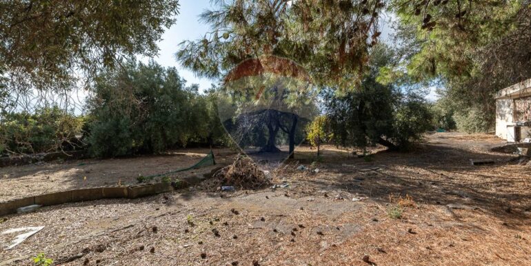 20251006190005-991987-21