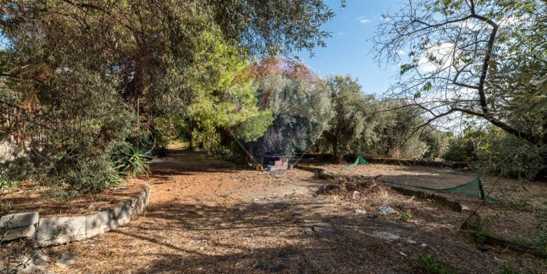 20251006190009-991987-22