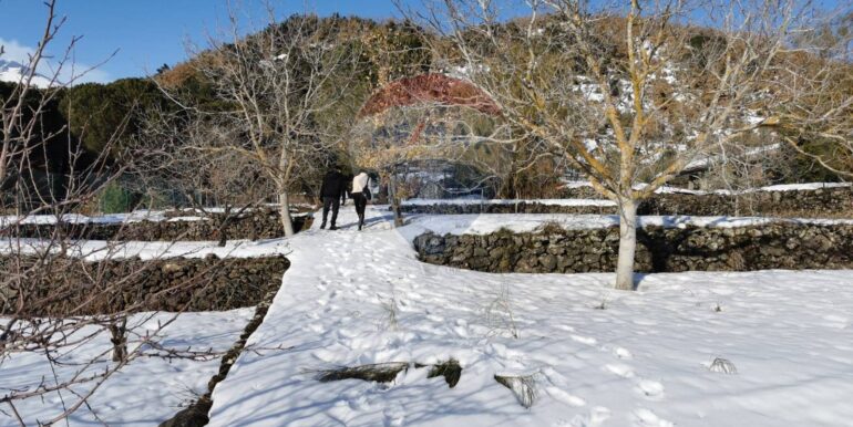 20251009161854-992745-4