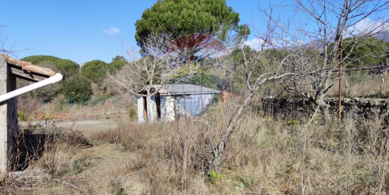 20251009161909-992745-7