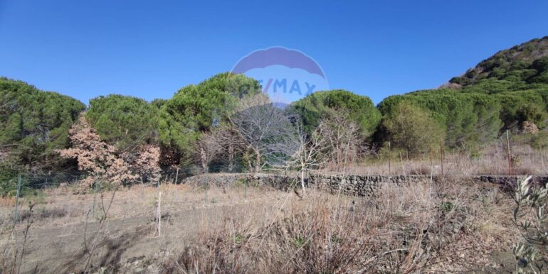 20251009161935-992745-12