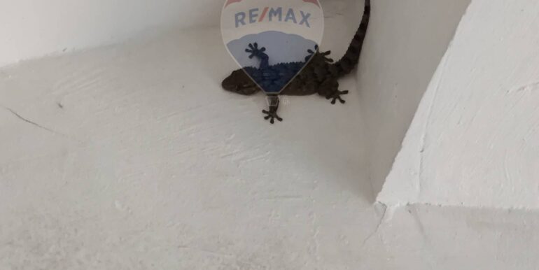 20251009161943-992745-14