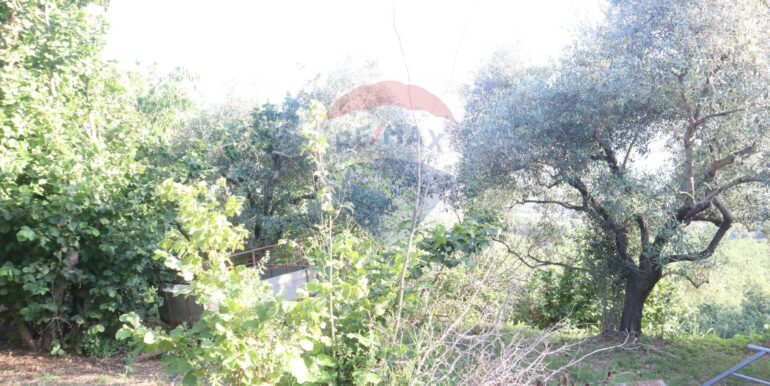 20251010180919-993032-8