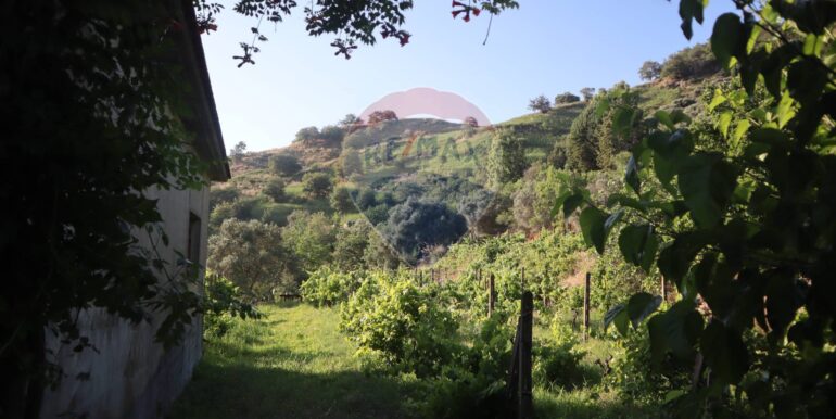 20251010180937-993032-13