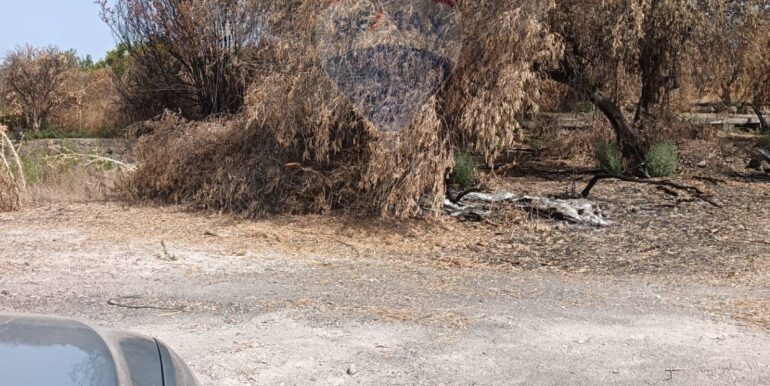 20251013175120-929964-13