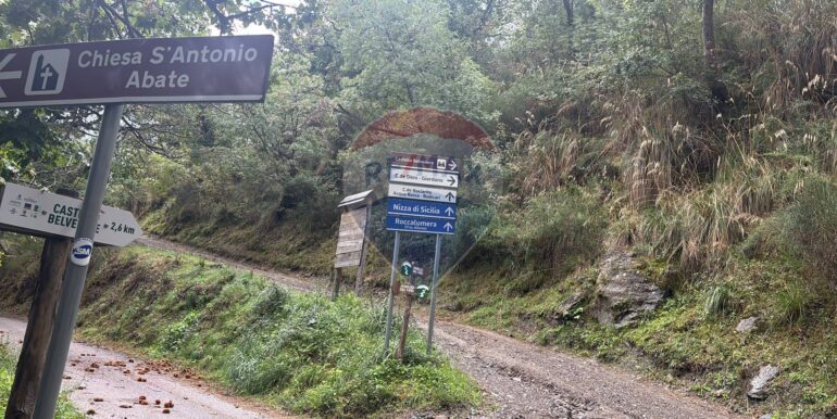 20251017223539-994291-1