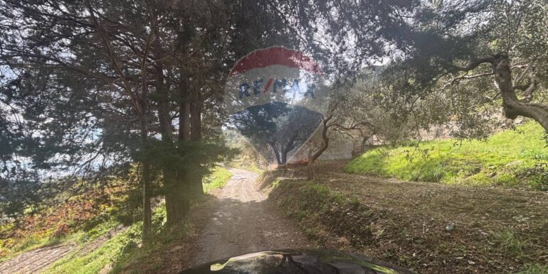 20251017223556-994291-3