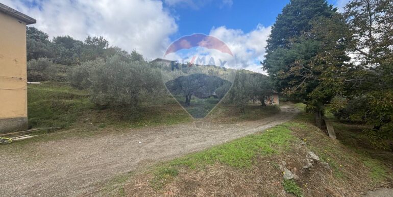 20251017223739-994291-8