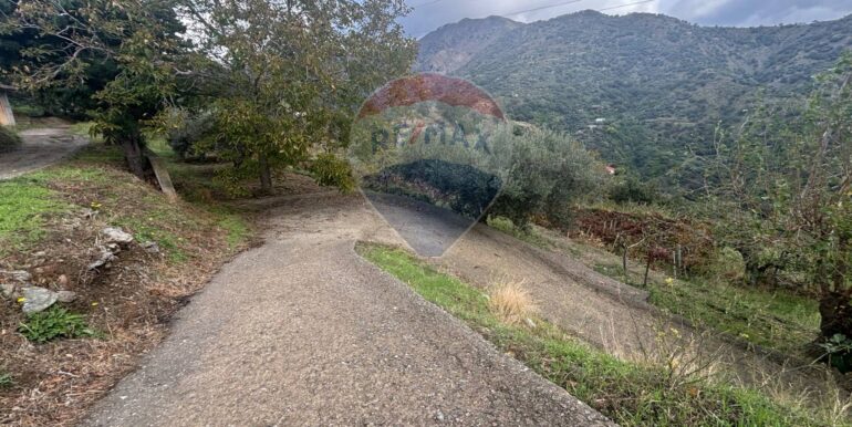 20251017223805-994291-9