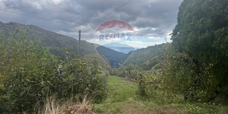 20251017223822-994291-11