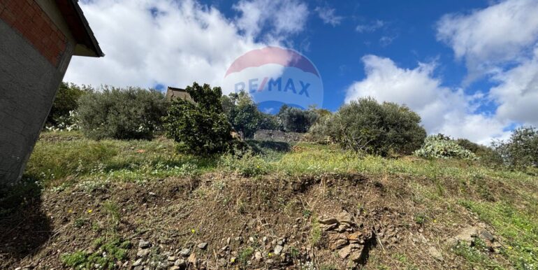 20251017223835-994291-13