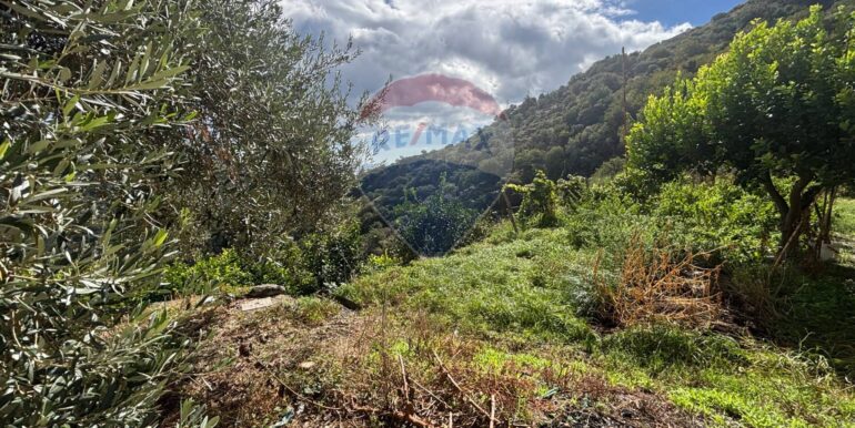 20251017223850-994291-16