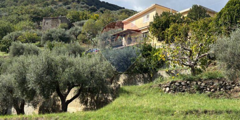 20251017230348-994291-102