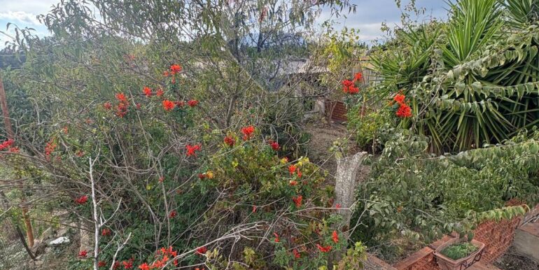 20251020132909-994338-9