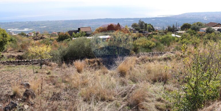 20251020161220-994068-3