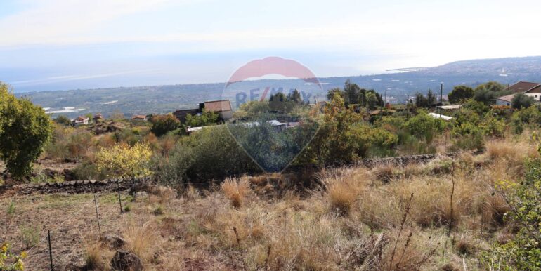 20251020161227-994068-5