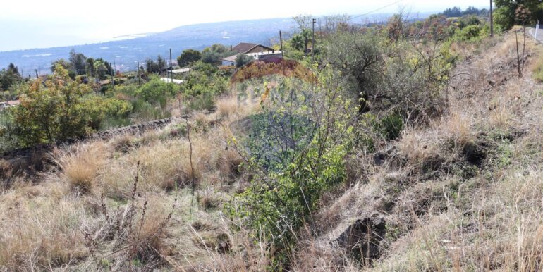 20251020161231-994068-6