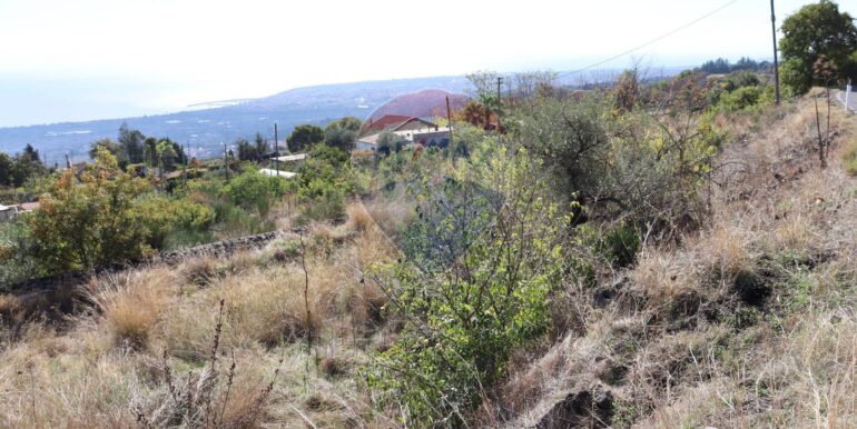 20251020161235-994068-7