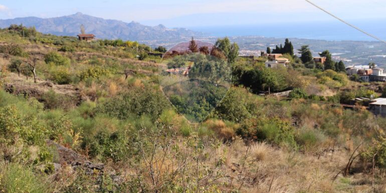 20251020161249-994068-11