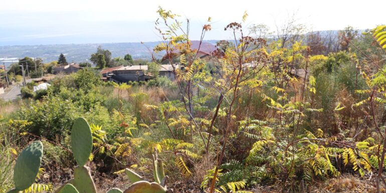 20251020161322-994068-20