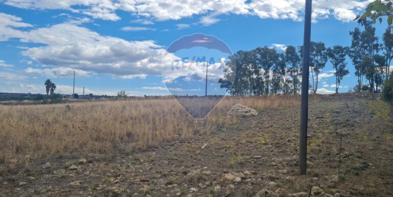 20251020165428-994131-5