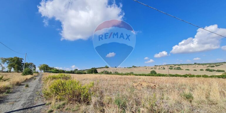 20251020165453-994131-14