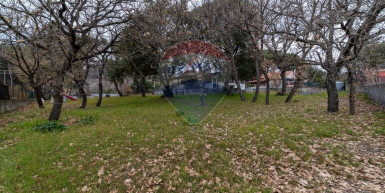 20251021192207-995272-6