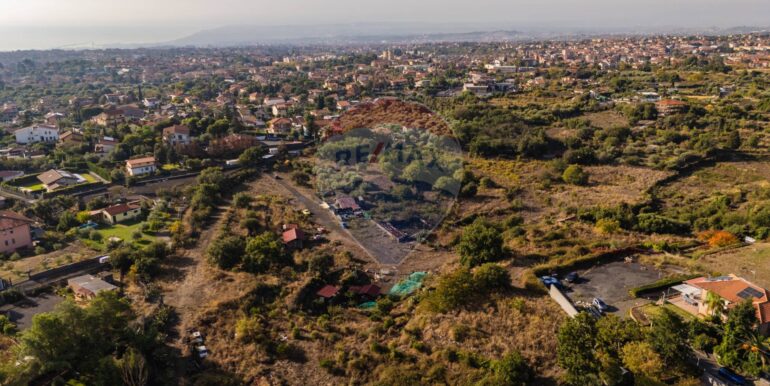 2025102291031-995152-5