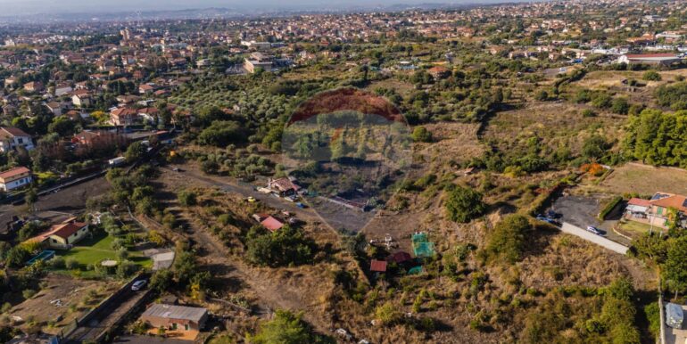 2025102291036-995152-7