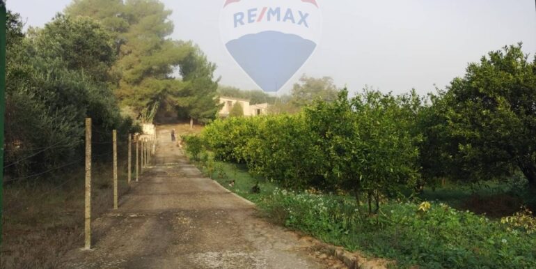 20251023112901-995554-1