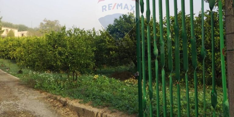 20251023112912-995554-4