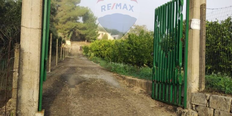 20251023112915-995554-5