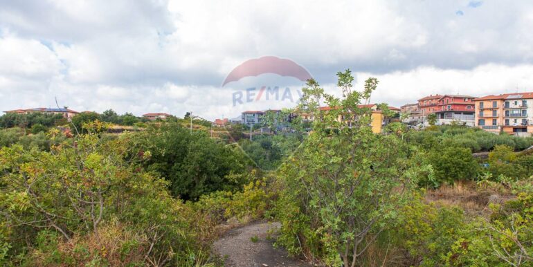 20251023201001-995689-1