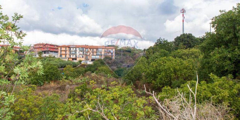 20251023201007-995689-2